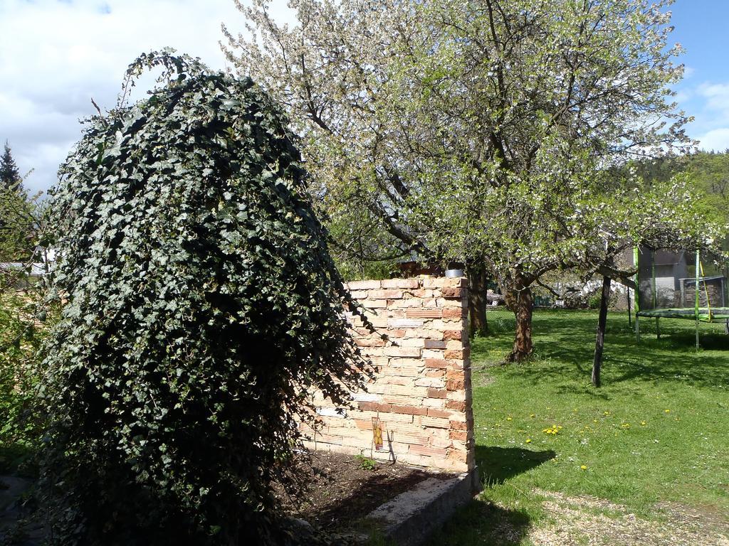 Penzion Villa Marion Mariánské Lázně Eksteriør bilde