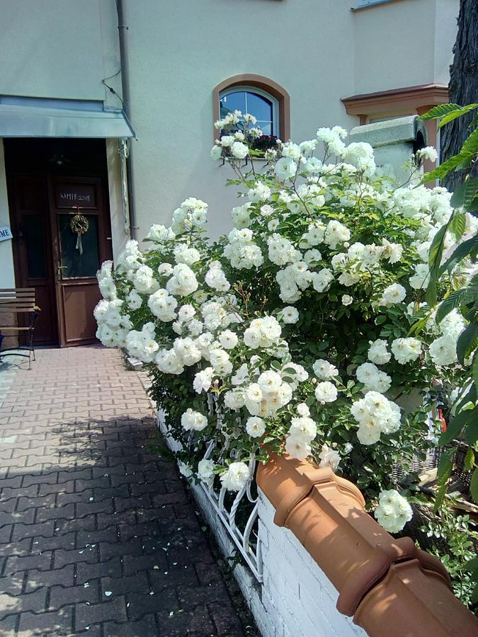 Penzion Villa Marion Mariánské Lázně Eksteriør bilde